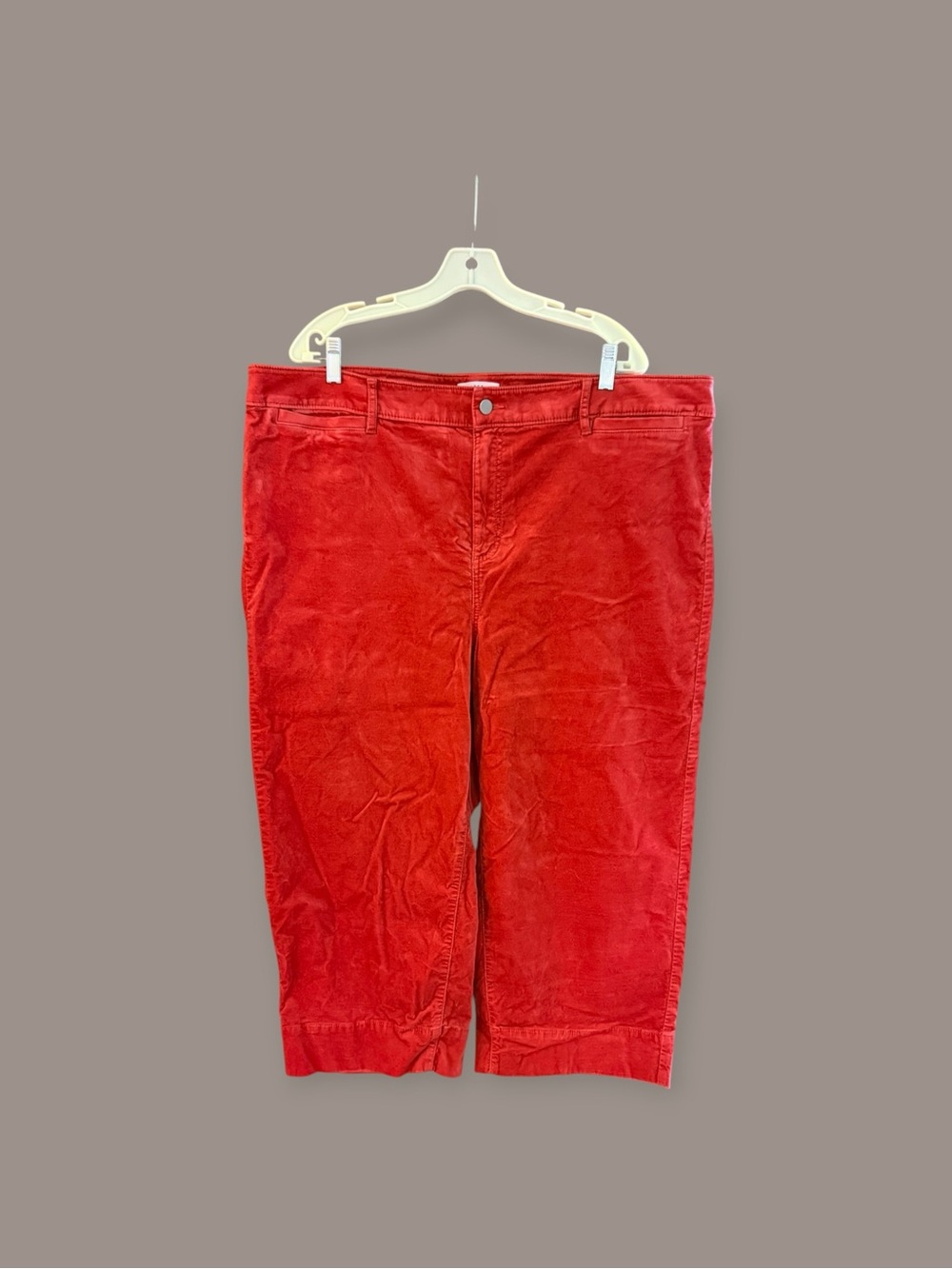 LOFT Velvet Cropped Pants - Retro Luxe Preppy